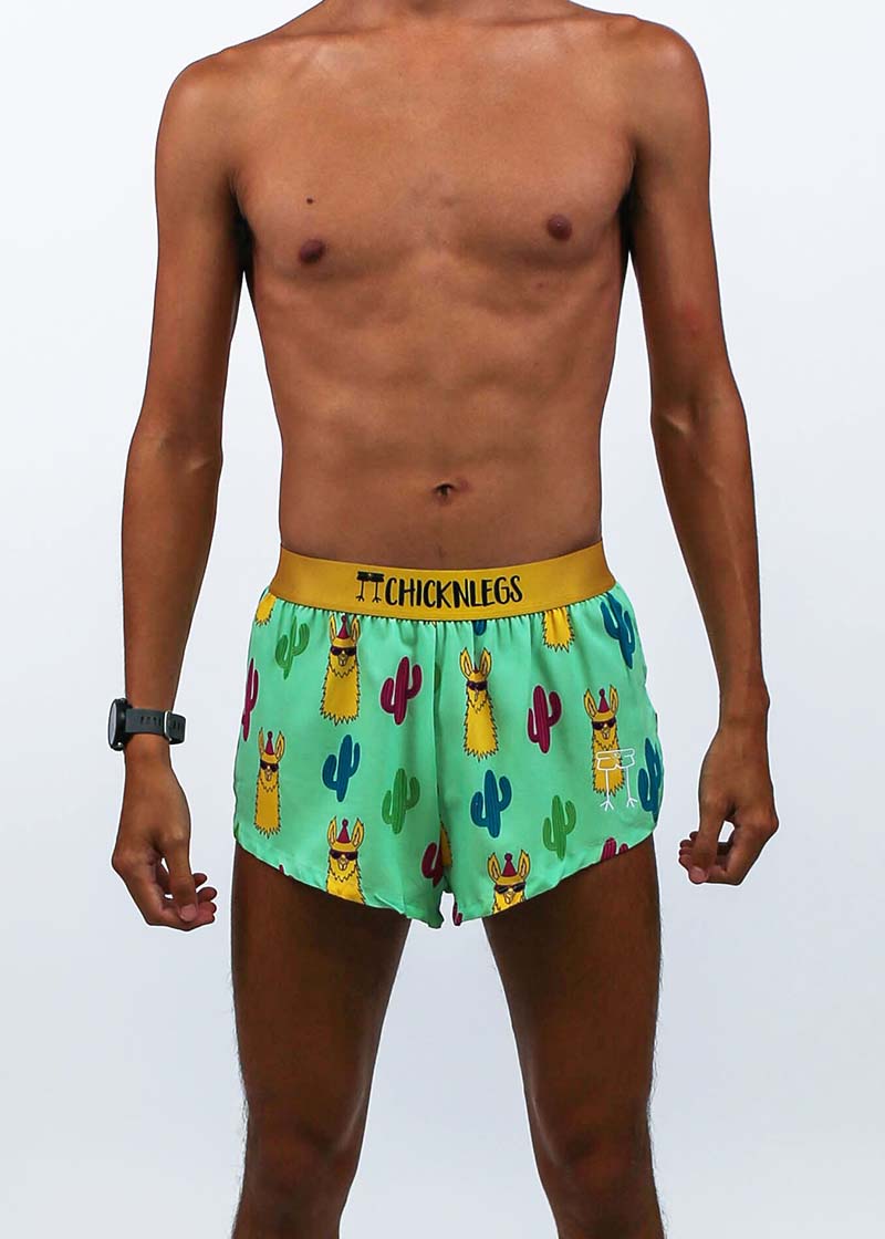 Closeup front view of the logo and split on the men's 2 inch green llama running shorts.
