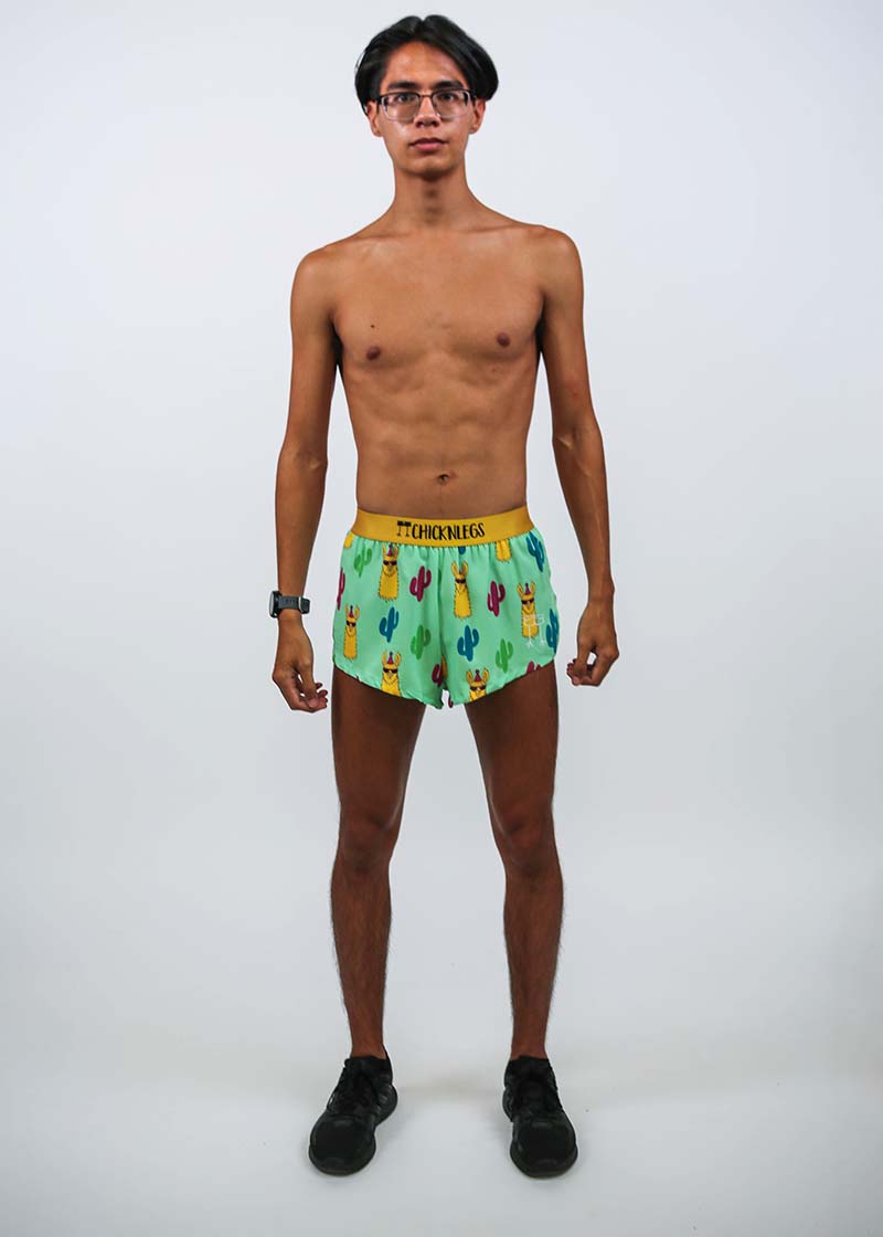 Full body shot of the men's 2 inch green llama running shorts.